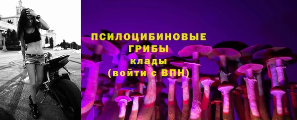 spice Краснотурьинск