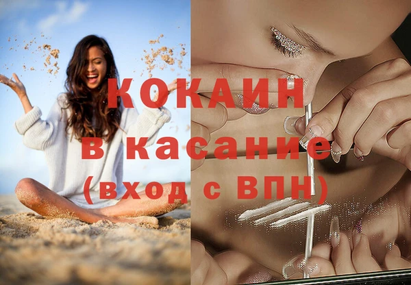 трава Коряжма