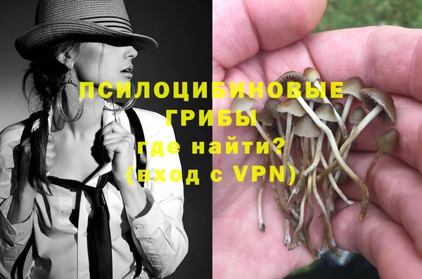PSILOCYBIN Краснослободск