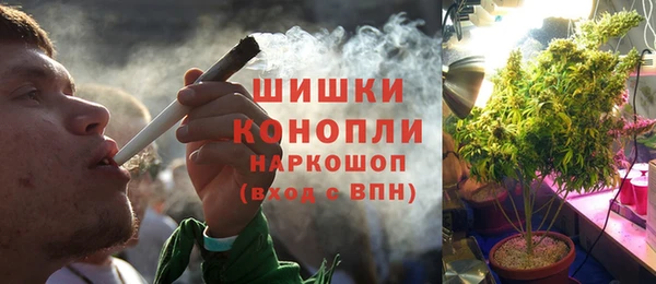 PSILOCYBIN Краснослободск